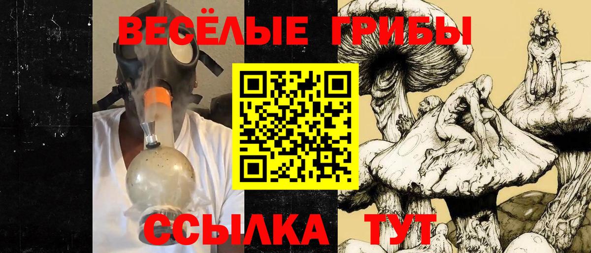 Псилоцибиновые грибы ЛСД  Псилоцибиновые грибы Magic Shrooms  где купить наркоту  Вход с VPN  Кумертау 